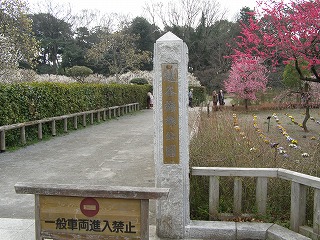 越谷梅林公園03