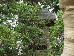 二荒山神社